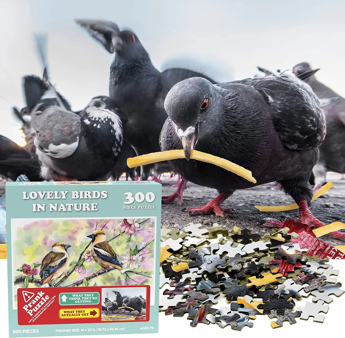 Prank Puzzles Pranks Anonymous