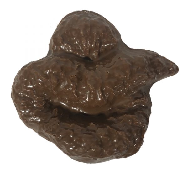 The Poop Prank Bundle